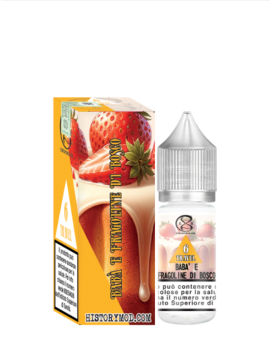 Travel N. 6 Aroma 10ml – History Mod