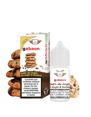 Gabaon Aroma Mini Shot 10+10 - Holy Vape