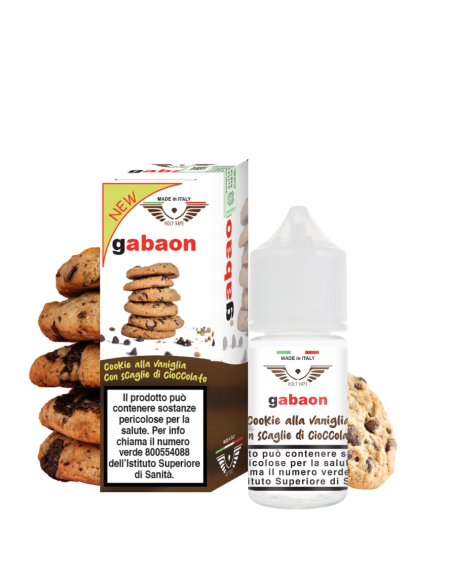 Gabaon Aroma Mini Shot 10+10 - Holy Vape